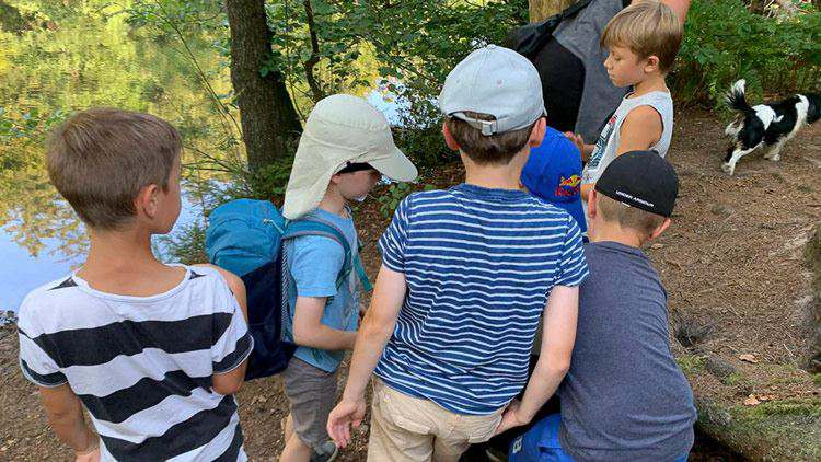 Kinder erleben einen Tag im Wald