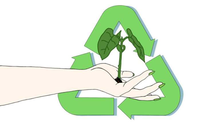 Eine Hand hält eine wachsende Pflanze